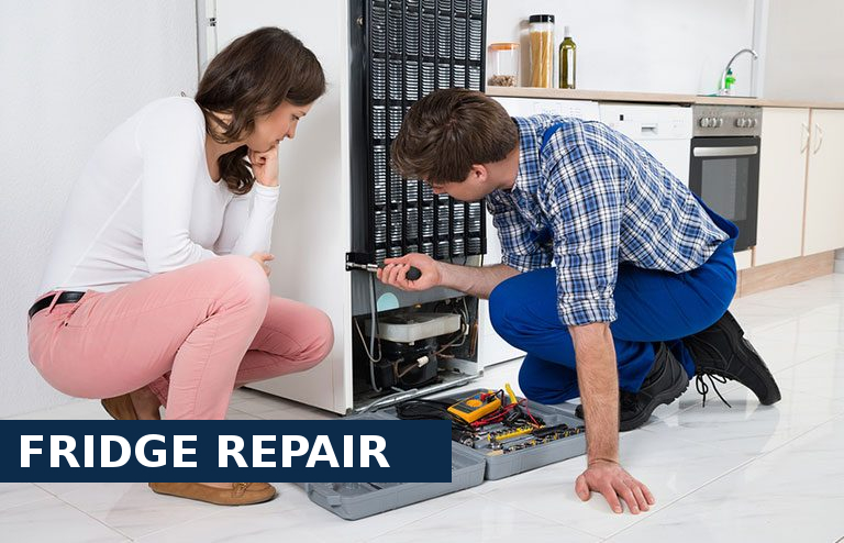 Fridge Repair Hither Green